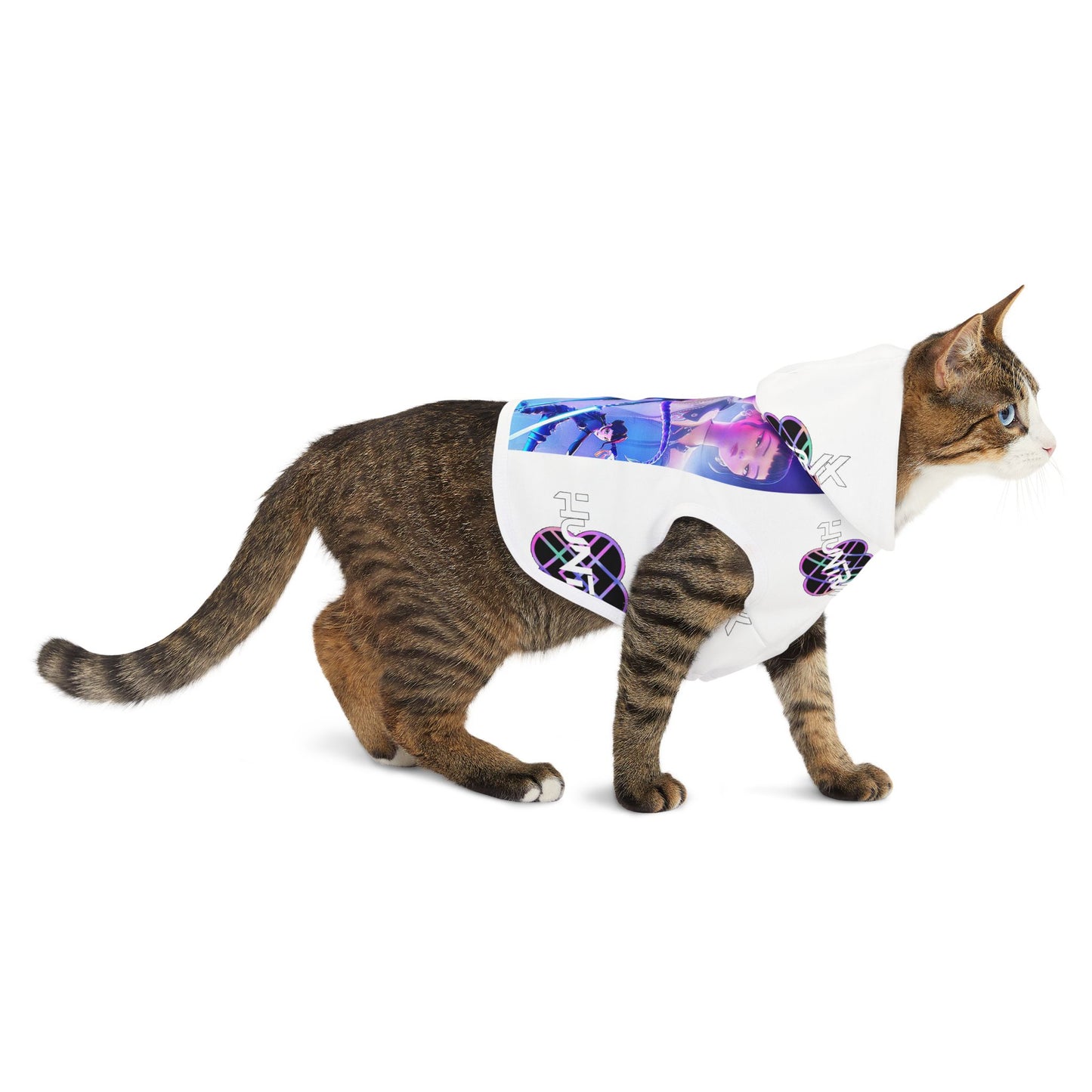 Huntrix Pet Hoodie